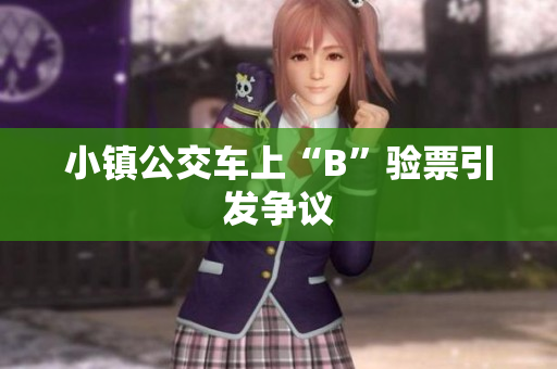 小镇公交车上“B”验票引发争议