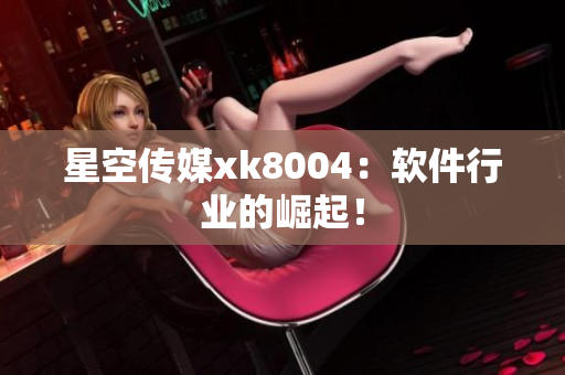 星空传媒xk8004：软件行业的崛起！