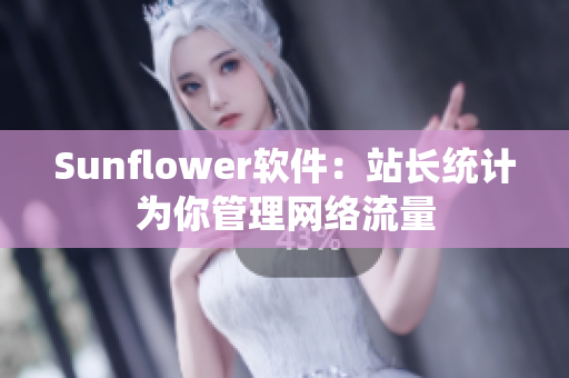 Sunflower软件：站长统计为你管理网络流量
