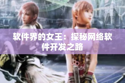 软件界的女王：探秘网络软件开发之路