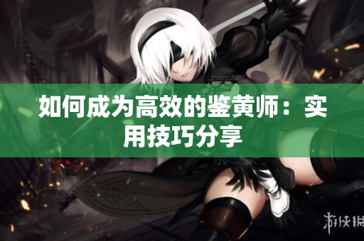 如何成为高效的鉴黄师：实用技巧分享