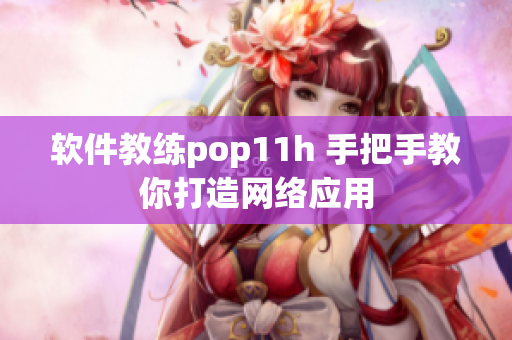 软件教练pop11h 手把手教你打造网络应用