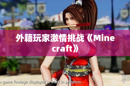 外籍玩家激情挑战《Minecraft》