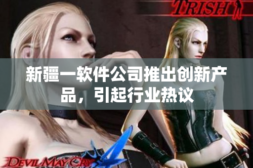 新疆一软件公司推出创新产品，引起行业热议