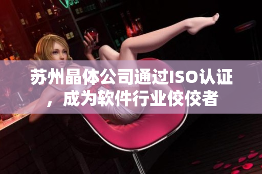 苏州晶体公司通过ISO认证，成为软件行业佼佼者
