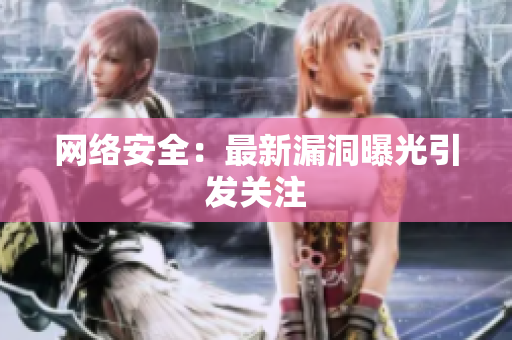 网络安全：最新漏洞曝光引发关注