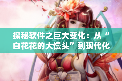探秘软件之巨大变化：从“白花花的大馒头”到现代化系统