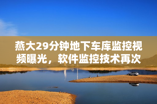 燕大29分钟地下车库监控视频曝光，软件监控技术再次受到验证