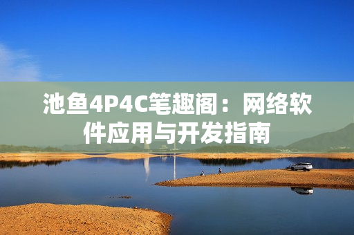 池鱼4P4C笔趣阁：网络软件应用与开发指南