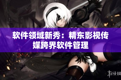 软件领域新秀：精东影视传媒跨界软件管理