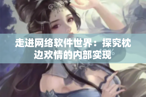 走进网络软件世界：探究枕边欢情的内部实现