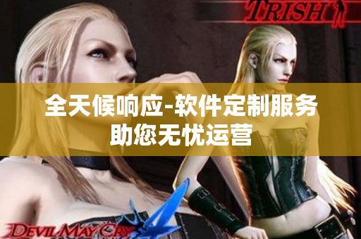 全天候响应-软件定制服务助您无忧运营