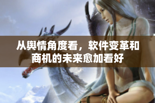 从舆情角度看，软件变革和商机的未来愈加看好