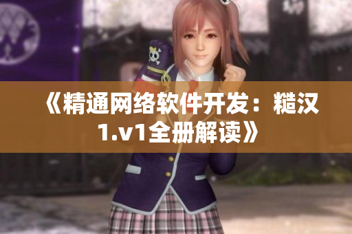 《精通网络软件开发：糙汉1.v1全册解读》