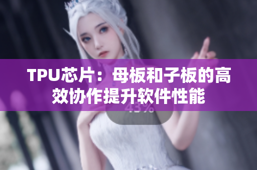 TPU芯片：母板和子板的高效协作提升软件性能