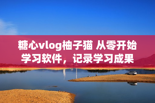 糖心vlog柚子猫 从零开始学习软件，记录学习成果