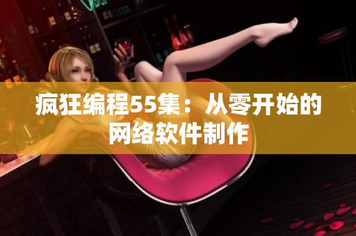 疯狂编程55集：从零开始的网络软件制作