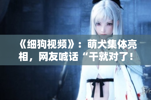 《细狗视频》：萌犬集体亮相，网友喊话“干就对了！”
