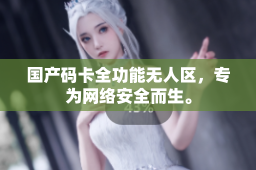 国产码卡全功能无人区，专为网络安全而生。