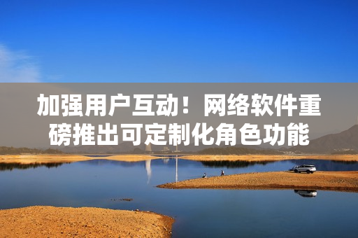 加强用户互动！网络软件重磅推出可定制化角色功能