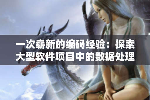 一次崭新的编码经验：探索大型软件项目中的数据处理技术