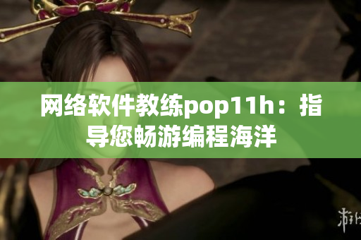 网络软件教练pop11h：指导您畅游编程海洋