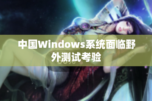 中国Windows系统面临野外测试考验