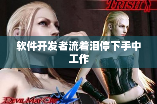 软件开发者流着泪停下手中工作