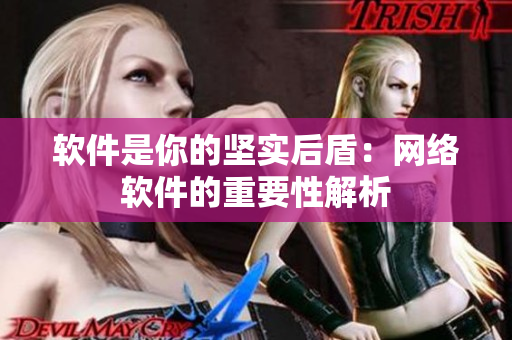 软件是你的坚实后盾：网络软件的重要性解析