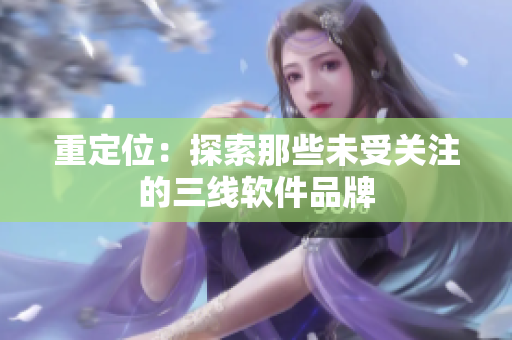 重定位：探索那些未受关注的三线软件品牌