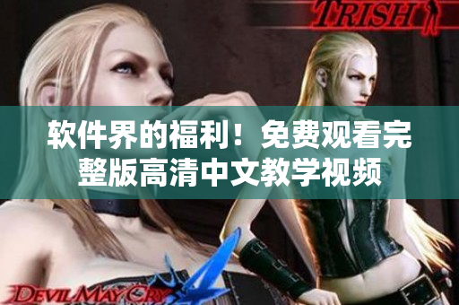 软件界的福利！免费观看完整版高清中文教学视频