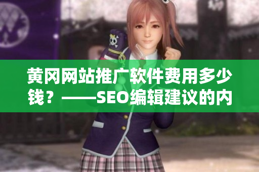 黄冈网站推广软件费用多少钱？——SEO编辑建议的内容再制作