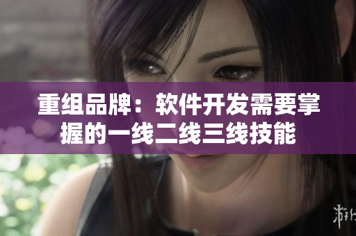 重组品牌：软件开发需要掌握的一线二线三线技能