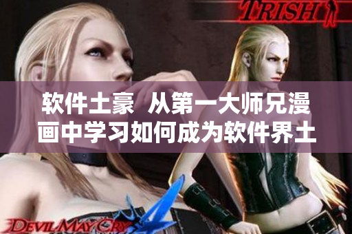 软件土豪  从第一大师兄漫画中学习如何成为软件界土豪
