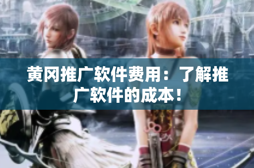 黄冈推广软件费用：了解推广软件的成本！