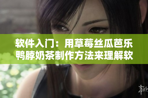 软件入门：用草莓丝瓜芭乐鸭脖奶茶制作方法来理解软件开发