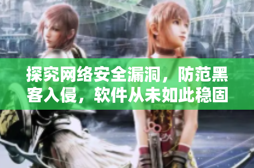探究网络安全漏洞，防范黑客入侵，软件从未如此稳固