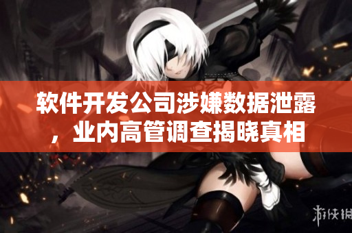 软件开发公司涉嫌数据泄露，业内高管调查揭晓真相