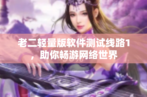 老二轻量版软件测试线路1，助你畅游网络世界