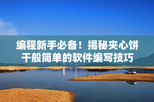 编程新手必备！揭秘夹心饼干般简单的软件编写技巧