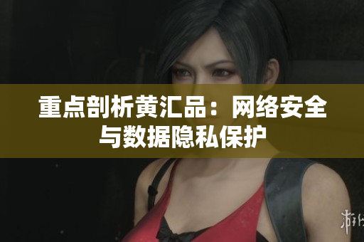 重点剖析黄汇品：网络安全与数据隐私保护