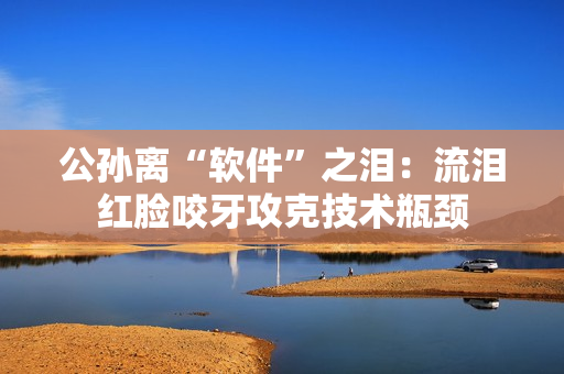 公孙离“软件”之泪：流泪红脸咬牙攻克技术瓶颈