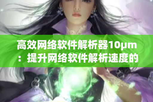 高效网络软件解析器10μm：提升网络软件解析速度的新选择