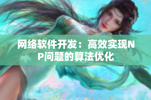 网络软件开发：高效实现NP问题的算法优化