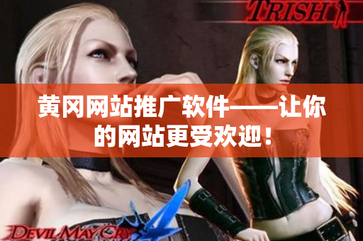 黄冈网站推广软件——让你的网站更受欢迎！