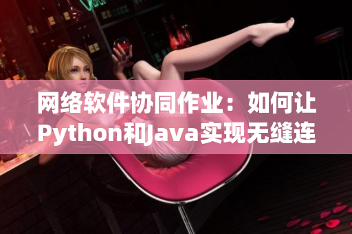 网络软件协同作业：如何让Python和Java实现无缝连接？