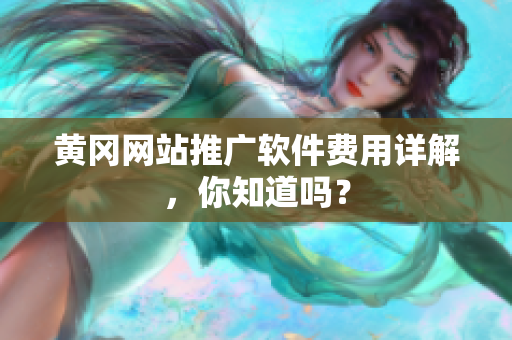 黄冈网站推广软件费用详解，你知道吗？