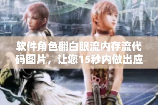 软件角色翻白眼流内存流代码图片，让您15秒内做出应对方案！