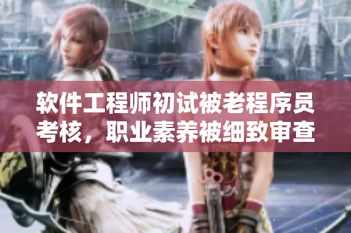 软件工程师初试被老程序员考核，职业素养被细致审查