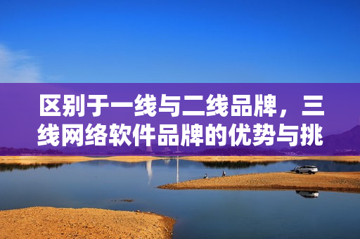 区别于一线与二线品牌，三线网络软件品牌的优势与挑战